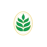 PT. Borneo Hijau Lestari