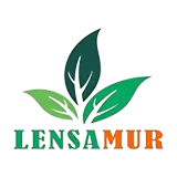 PT. Lentera Sawit Makmur