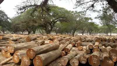 Penatausahaan Hasil Hutan (PUHH)