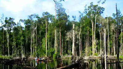 Pengukuran Karbon di Lahan Gambut